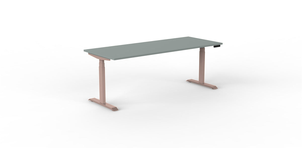 Robberechts - Venta T Sit Stand Desk - Trend Colours