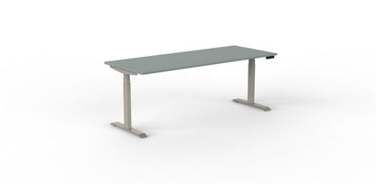 Robberechts - Venta T Sit Stand Desk - Trend Colours