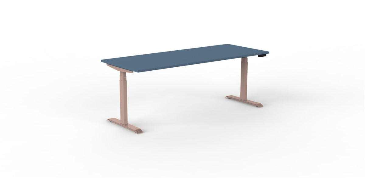 Robberechts - Venta T Sit Stand Desk - Trend Colours