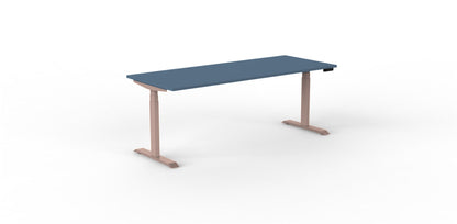 Robberechts - Venta T Sit Stand Desk - Trend Colours