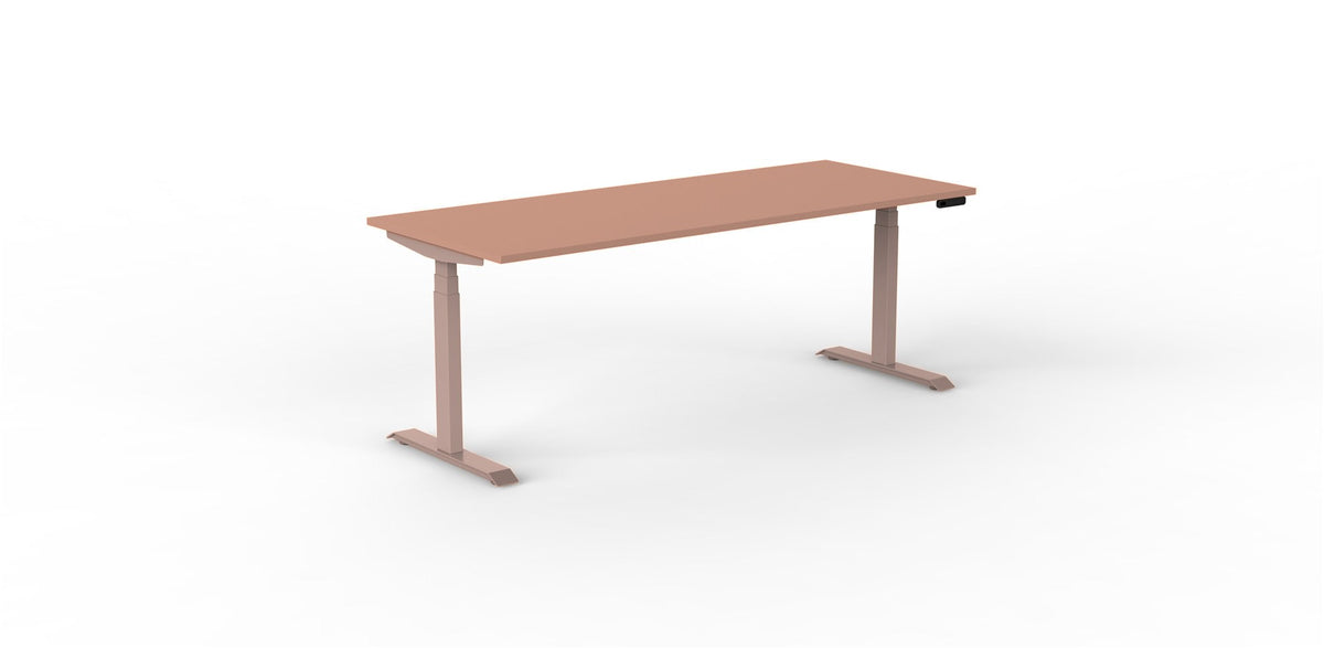 Robberechts - Venta T Sit Stand Desk - Trend Colours