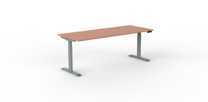 Robberechts - Venta T Sit Stand Desk - Trend Colours