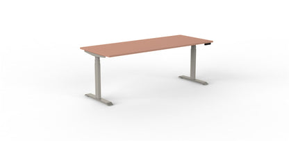 Robberechts - Venta T Sit Stand Desk - Trend Colours