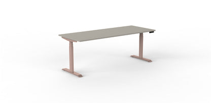 Robberechts - Venta T Sit Stand Desk - Trend Colours