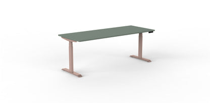 Robberechts - Venta T Sit Stand Desk - Trend Colours
