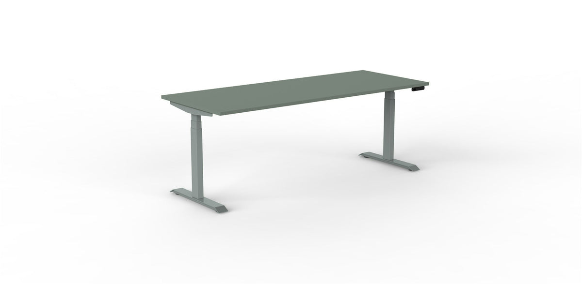 Robberechts - Venta T Sit Stand Desk - Trend Colours