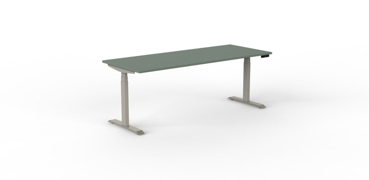 Robberechts - Venta T Sit Stand Desk - Trend Colours