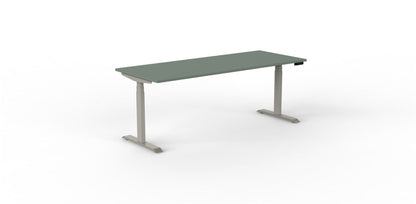 Robberechts - Venta T Sit Stand Desk - Trend Colours