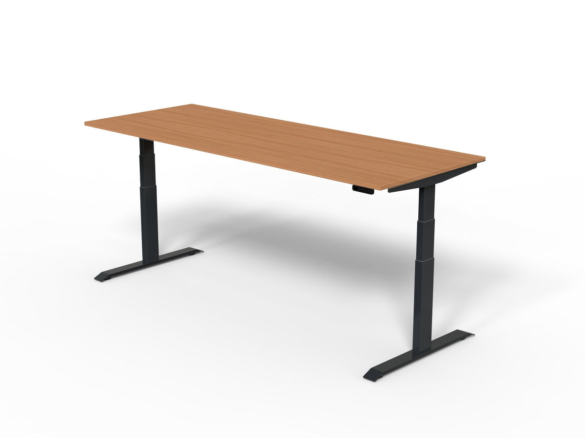 Robberechts - Venta T Sit Stand Desk Basic Colours