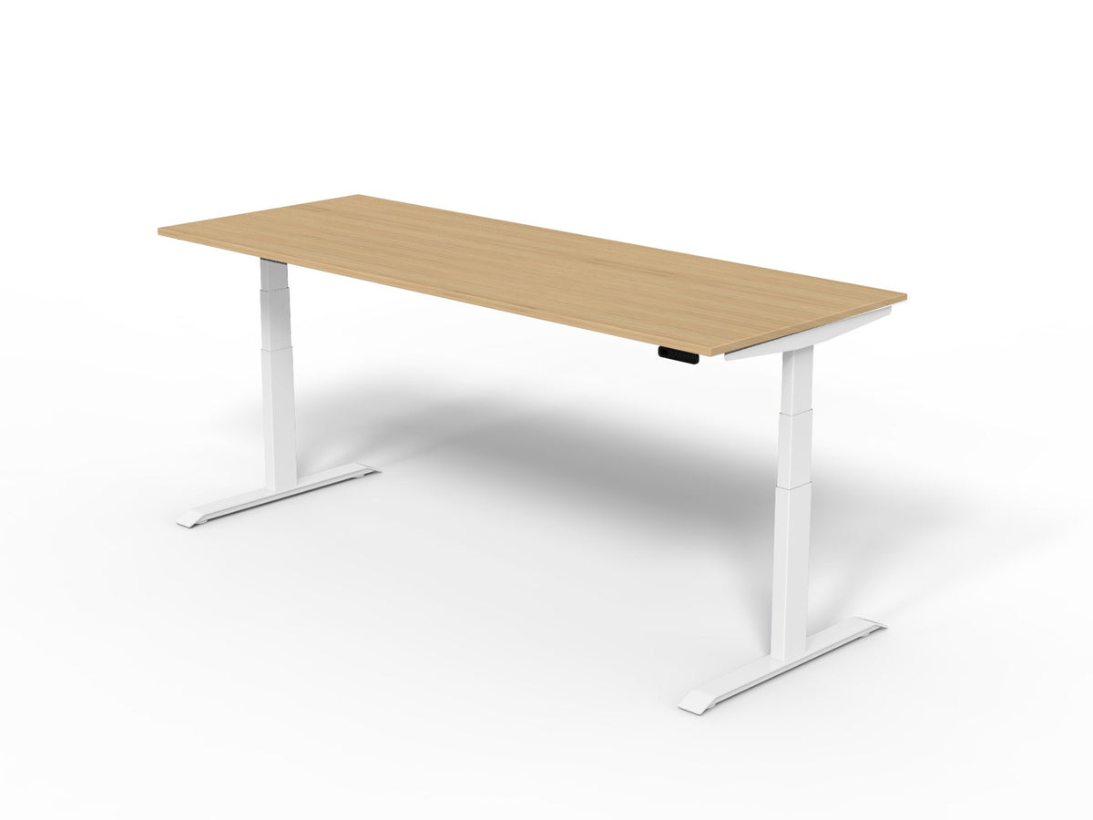 Robberechts - Venta T Sit Stand Desk Basic Colours